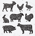 Hand Drawn Farm Animal Set vector image