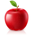 Delicious red apple vector image
