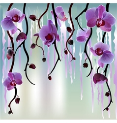 Background with orchids vector image