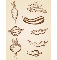 Vintage vegetables set vector image