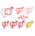 Gender symbols vector image