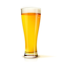 Isolated glass of beer vector image