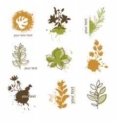 Set of floral elements vector image