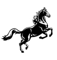 Rearing horse black white vector image