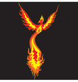 Phoenix vector image