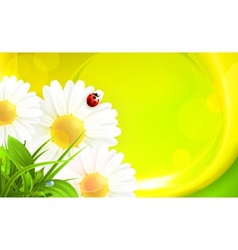 Daisy background vector image
