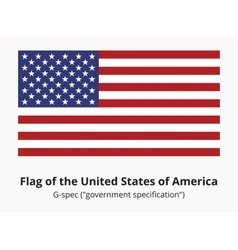 USA Flag or American flag in correct proportion vector image