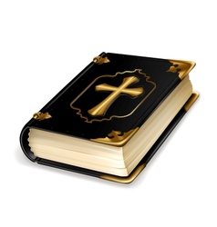 Holy Book vector image