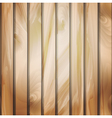 Wall panels with wood detailed texture Wall panels with wood detailed texture vector image