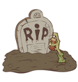RIP color vector image