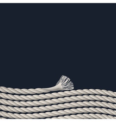 Stylish background with marine rope vector image