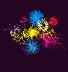 Fireworks on night sky vector image