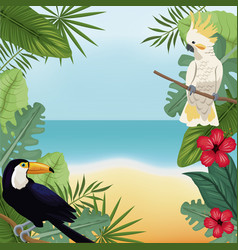 Cockatoo and toucan leaves tropical beach vector image