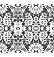 White lace vector image