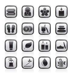 Spa objects icons vector image
