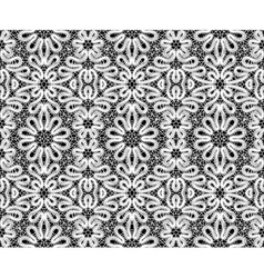White lace White lace vector image