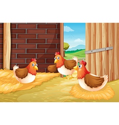 Three chickens nesting vector image