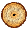 Wooden pattern vector image