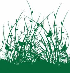 Floral vine garden vector image