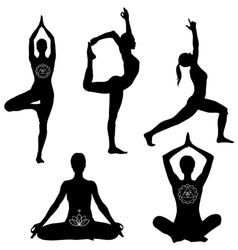 Yoga poses icon set vector image