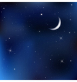 Night sky scene vector image