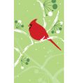 Cardinal on snowy branch vector image