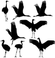 Crane vector image