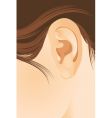 Human ear vector image