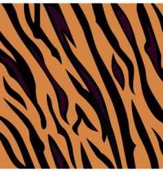 Animal prints vector image