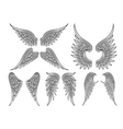 Heraldic wings or angel vector image