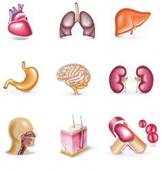 Cartoon icons vector image