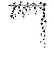 Arrow and ivy vector image