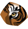 Tiger vector image
