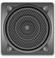 Sound Speaker Icon vector image