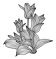 Decorative floral element vector image