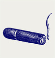 Havana cigar burned vector image