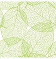 Fresh green leaves background - vector image