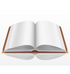 Open book vector image