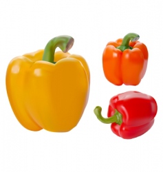 Yellow red and orange paprika vector image