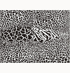 African pattern printed background vector image