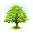 Oak tree vector image