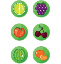 Fruit icons Fruit icons vector image