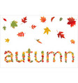 Autumn background vector image