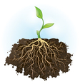 Strong foundation vector image