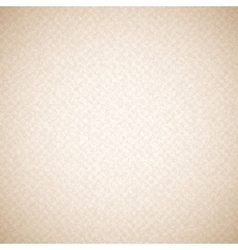 Paper texture vector image