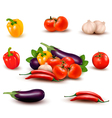 The big colorful group of vegetables vector image
