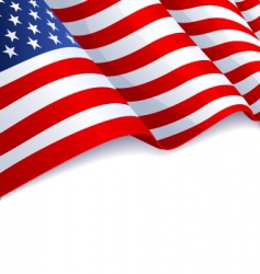 Usa flag vector image