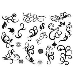 Swirling decorative floral design elements Swirling decorative floral design elements vector image
