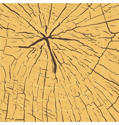 Wood texture vector image