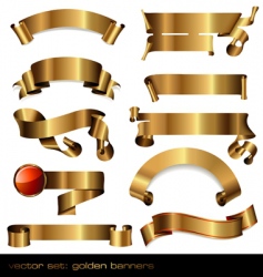 Heraldry vector image